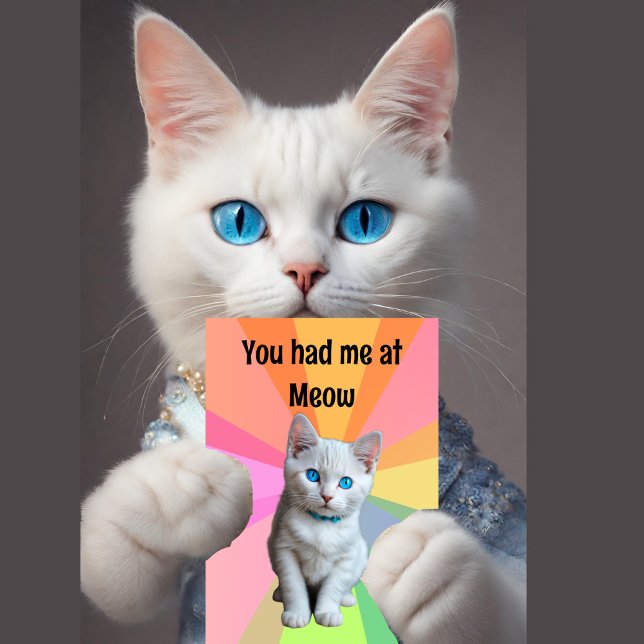 Cute kitten, Cat lover, you had me at Meow  Card (Creator Uploaded)