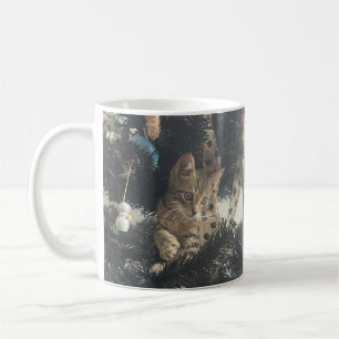Cute Kitten Cat Pet Photo Name  Coffee Mug