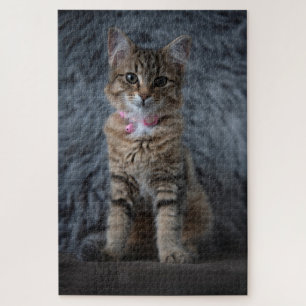 Cute kitten cat portrait, 1014 pieces jigsaw puzzle