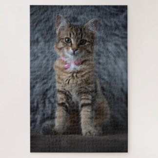 Cute kitten cat portrait, 1014 pieces jigsaw puzzle