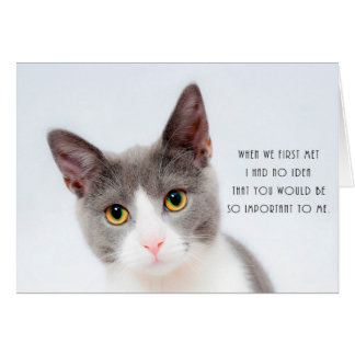 Cute Kitten Cat Romantic Love Birthday Card