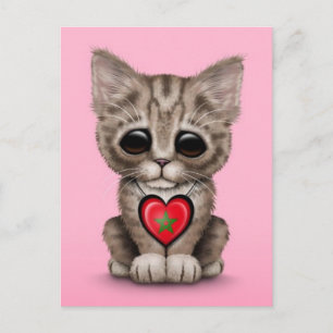 Cute Kitten Cat with Morocco Flag Heart, pink Postcard