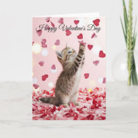 Cute Kitten Catching Valentine Heart Petals
