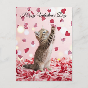 Cute Kitten Catching Valentine Heart Petals Postcard