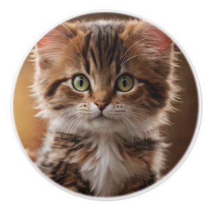 Cute Kitten Ceramic Knob