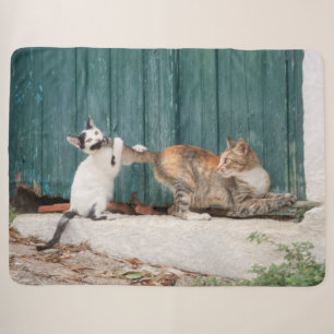 Cute Kitten Chasing Mum's Tail Funny Cat Photo - Sherpa Blanket
