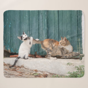 Cute Kitten Chasing Mum's Tail Funny Cat Photo - Sherpa Blanket