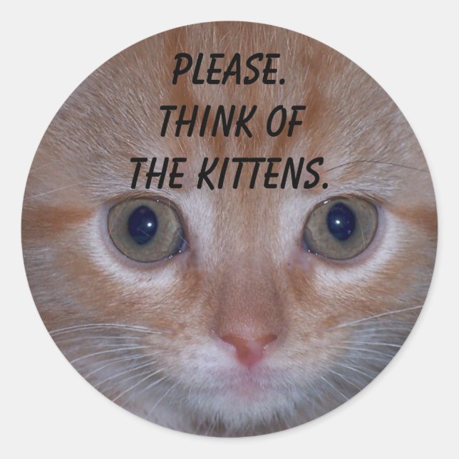 Cute Kitten Classic Round Sticker (Front)