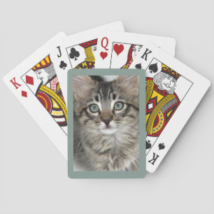Cute Kitten Closeup Playing Cards