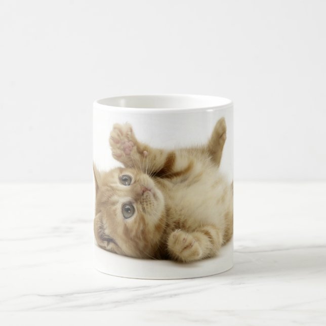 Cute Kitten Coffee Mug (Center)