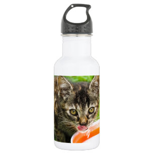 Cute kitten drinking out of a bowl 532 ml water bottle