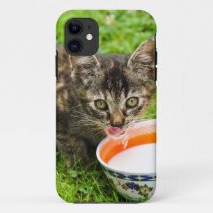Cute kitten drinking out of a bowl iPhone 11 case
