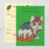cute kitten grey tabby licking paw christmas
