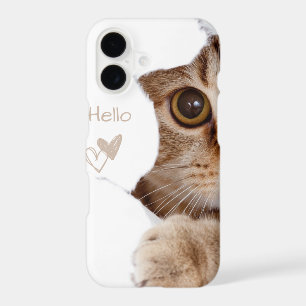 cute kitten ,hello heart white
