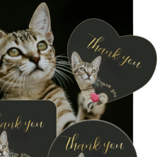 Cute Kitten I love you with Heart  Heart Sticker
