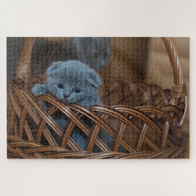 Cute kitten in a basket jigsaw puzzle (Horizontal)