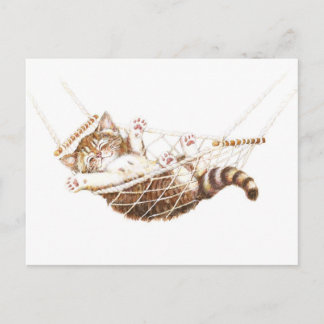 Cute kitten in hammock postcard