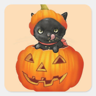 Cute kitten in pumpkin Halloween Square Sticker