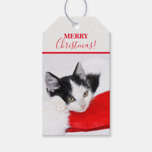 Cute Kitten in Santa Hat Gift Tags