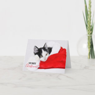Cute Kitten in Santa Hat Holiday Card