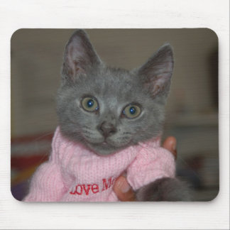 Cute Kitten in Sweater Mouse Mat