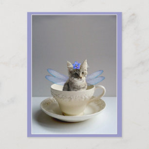 Cute kitten in tea cup postcard