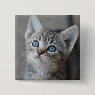 Cute Kitten In the Garden 15 Cm Square Badge