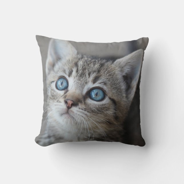 Cute Kitten In the Garden Cushion (Front)