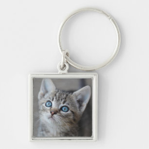 Cute Kitten In the Garden Key Ring