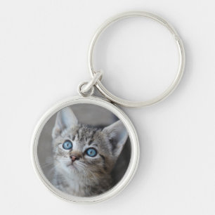 Cute Kitten In the Garden Key Ring