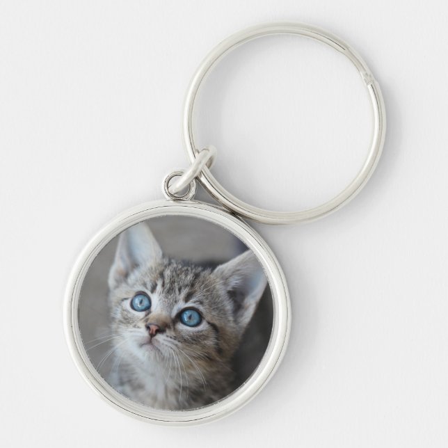 Cute Kitten In the Garden Key Ring (Front)