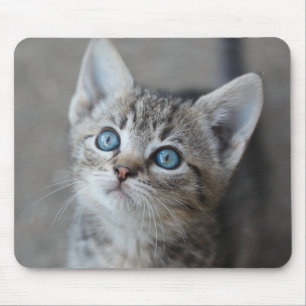 Cute Kitten In the Garden Mouse Mat