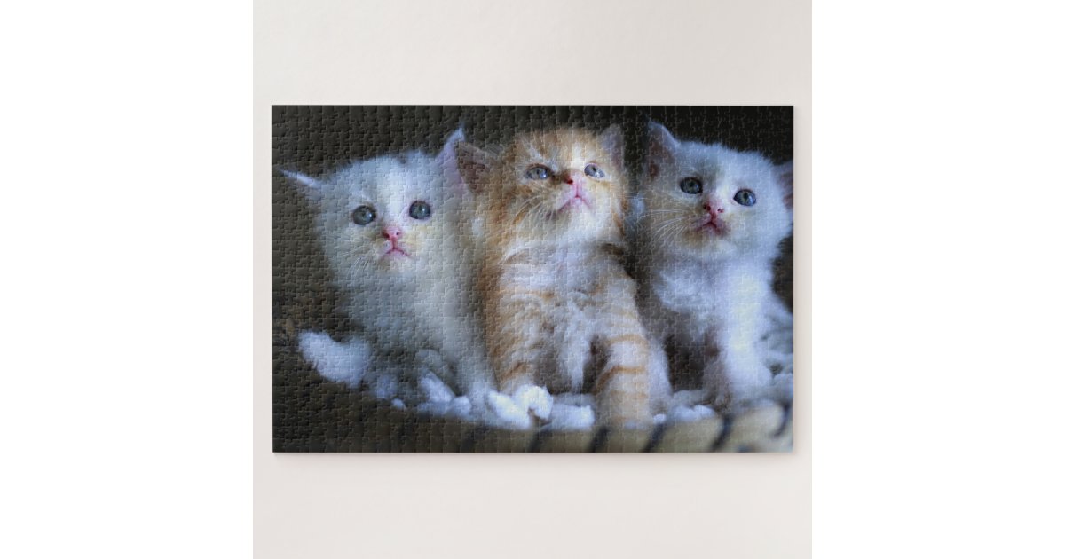 Cute Kitten Jigsaw Puzzle | Zazzle