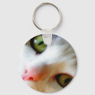 Cute kitten keychain