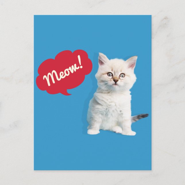 Cute Kitten Meow Caption Postcard (Front)