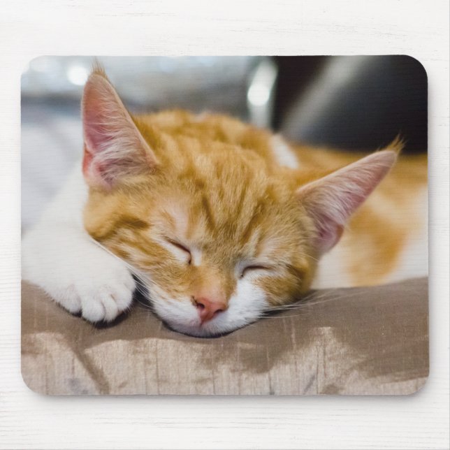 Cute Kitten Mouse Mat (Front)