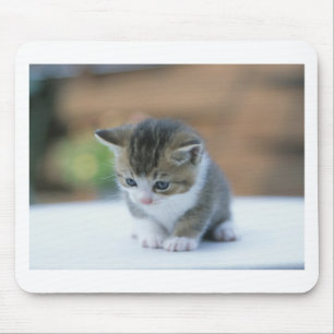 Cute Kitten Mouse Mat