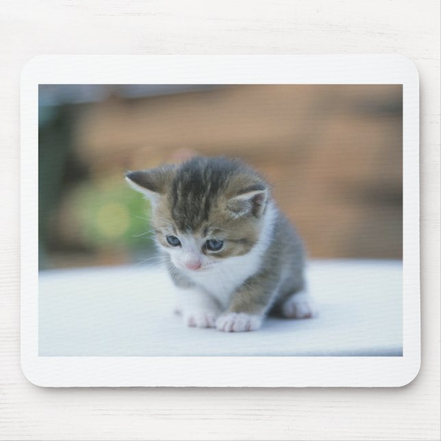 Cute Kitten Mouse Mat (Front)