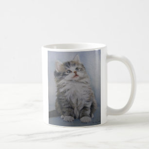 Cute kitten mug