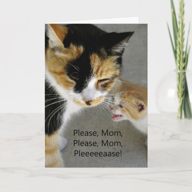 Cute Kitten Mum Happy Birthday Card (Front)