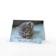 Cute Kitten Note Card