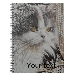 Cute kitten Notebook