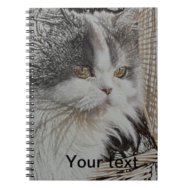 Cute kitten  Notebook (Front)