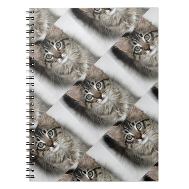Cute Kitten Notebook (Front)