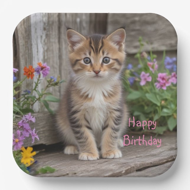 Cute Kitten  Paper Plate (Front)