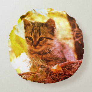 Cute Kitten Photo Baby Cat Round throw cushion