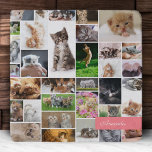 Cute Kitten Photo Montage Coral Pink Cat Trivet<br><div class="desc">Love kittens? (Who doesn't?!) You'll love this adorable trivet. Trivet has a montage of cute baby cats. These kitties are the perfect touch to your kitchen home décor. Trivet also has a touch of coral pink and a place to personalize with your name. (Name and background rectangle may be removed...</div>