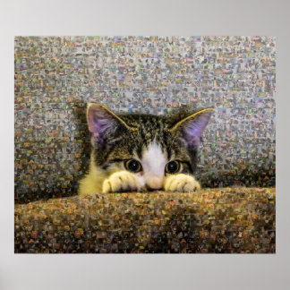 Cute Kitten Photo Mosaic. Poster