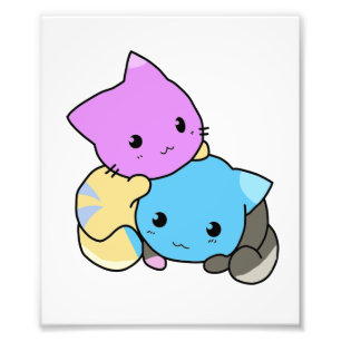 cute kitten photo print