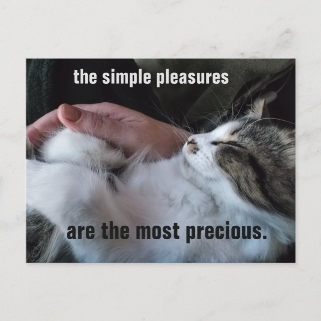Cute Kitten Quote Simple Pleasures Customisable Postcard (Front)